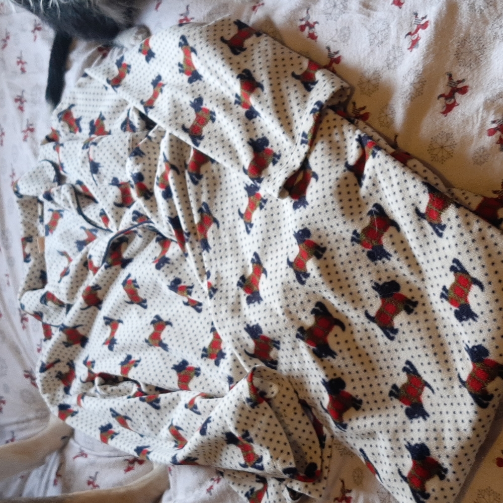 5/$20 XL Joe Fresh Pajamas